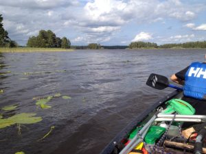 Seerosen und Uferschilf