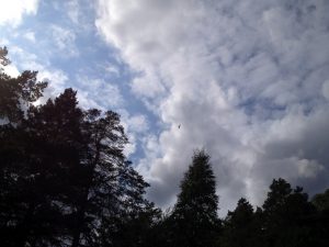 Die Geier kreisen schon.