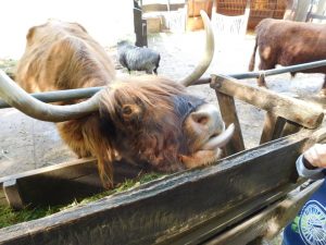 Eindrücke vom Tierpark Olderdissen