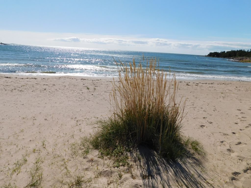 Sandstrand in Degersand