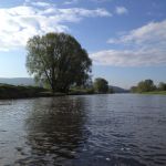 Oberweser bei Reinhardshagen, die Sonne kommt durch (Wesermaraton 2019). Oberweser bei Reinhardshagen vom Wasser aus.