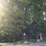 Thomas-Müntzer-Linde vor dem Burgtor vor Burg Scharfenstein. Thomas-Müntzer-Linde vor dem Burgtor vor Burg Scharfenstein.